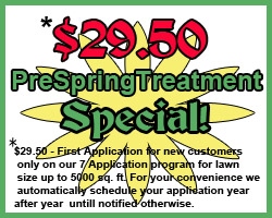 springspecial